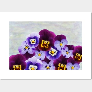 Purple Violet Flowers Posters and Art